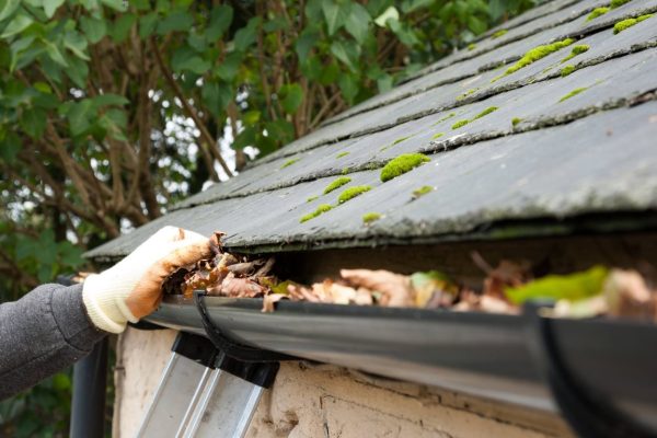 Cleaning Gutters